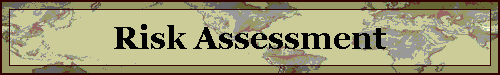 Risk Assessment
