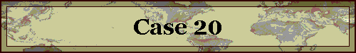 Case 20