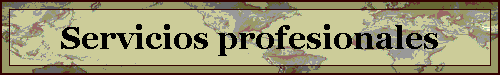 Servicios profesionales