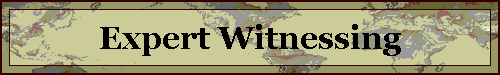 Expert Witnessing