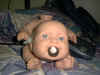 IMG00010.jpg (236877 bytes)