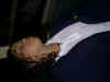IMG00005.jpg (236692 bytes)