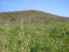 IMG00014.jpg (453064 bytes)