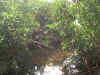 IMG00015.jpg (300677 bytes)
