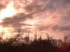 IMG00030.jpg (311837 bytes)