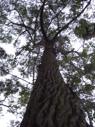 CIMG0214.JPG